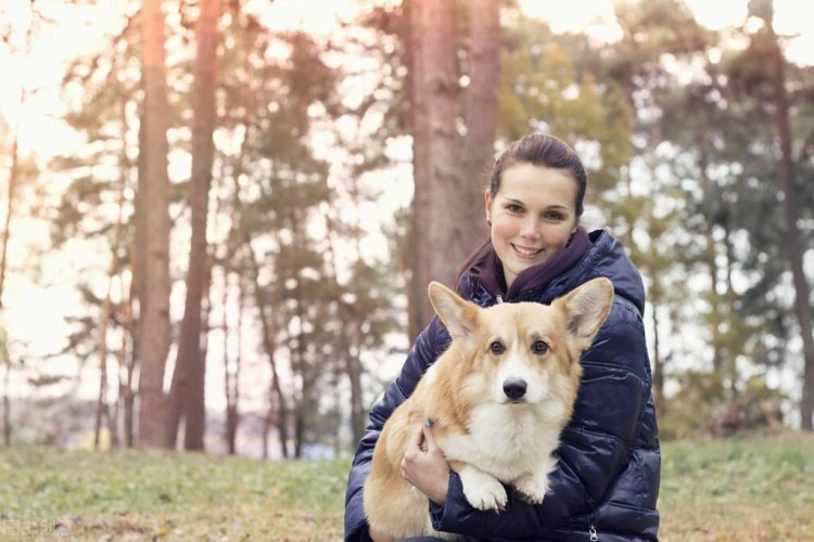 “战斗力”最强的几种小型犬，很容易咬人，有小孩的不建议养