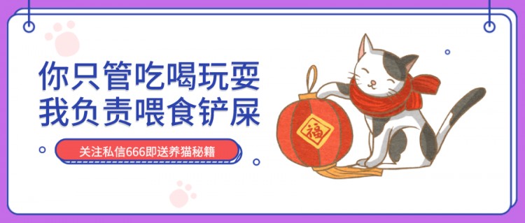 因为我那天没关窗户，我永远失去了我的猫