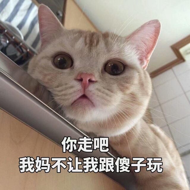 什么原因导致宠物猫挑食？